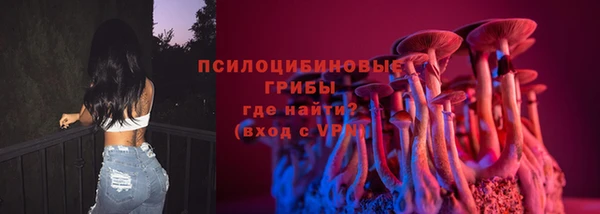 дурь Алзамай