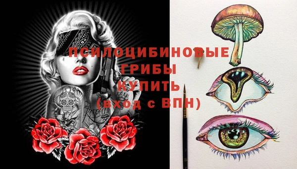 дурь Алзамай