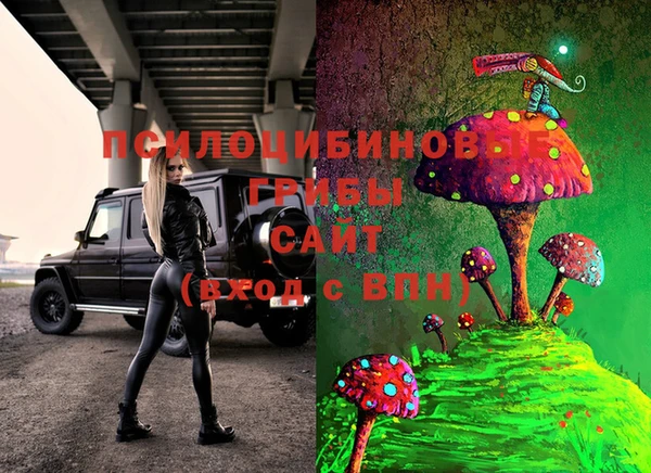 дурь Алзамай